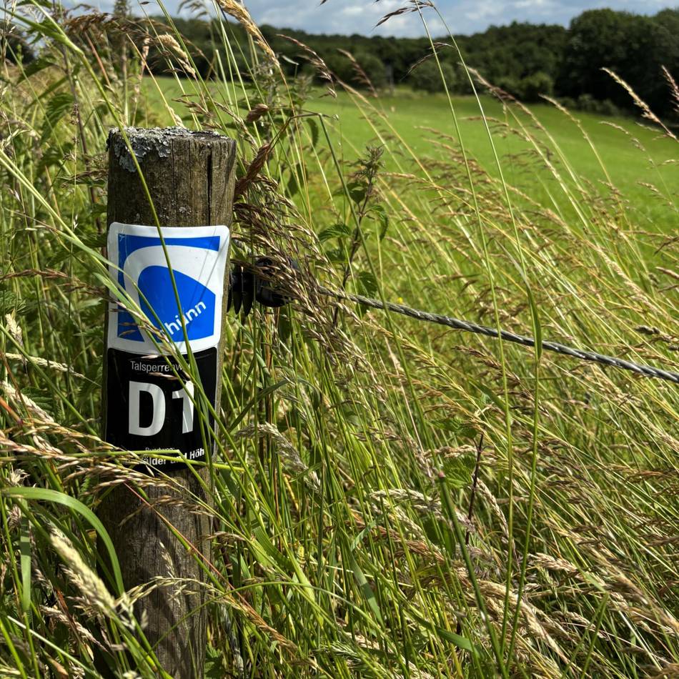 Wandern rund um Wermelskirchen: Wo die Stille der Natur, Wasser und Höhen begeistern