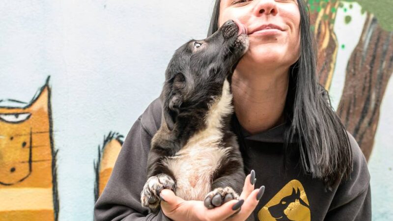 Sommerfest am Wochenende: Tierbegegnungen, Tombola und Führungen durch Dormagener Tierheim