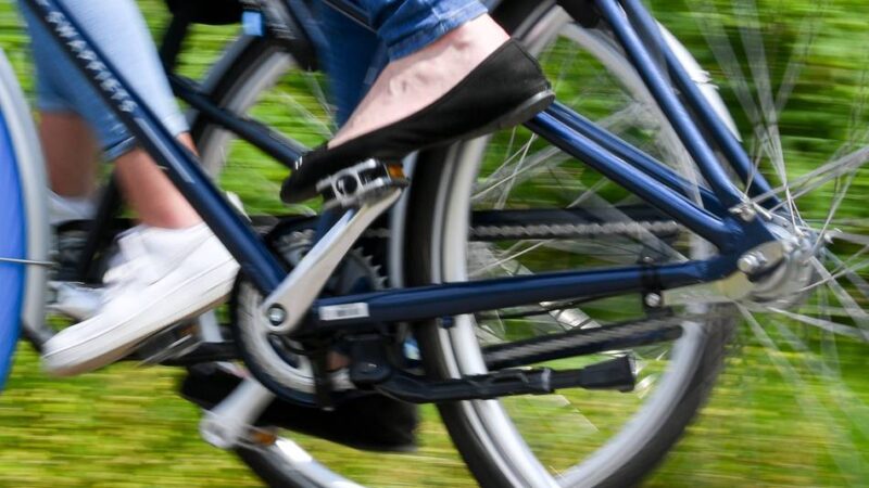 Ausflug mit dem Rad: Radfreunde erkunden Glessener Höhe und Büsdorfer Mühle