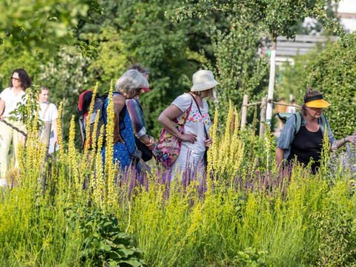 Bierkrüge bemalen, Yoga und mehr: Was die Laga in dieser Woche zu bieten hat