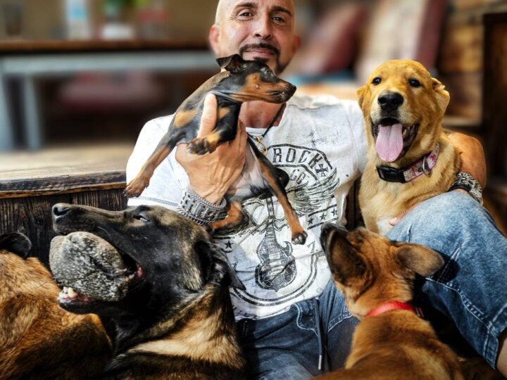 Hundetrainer Knut Fuchs aus Langenfeld: In der „Arche“ herrscht tierische Harmonie