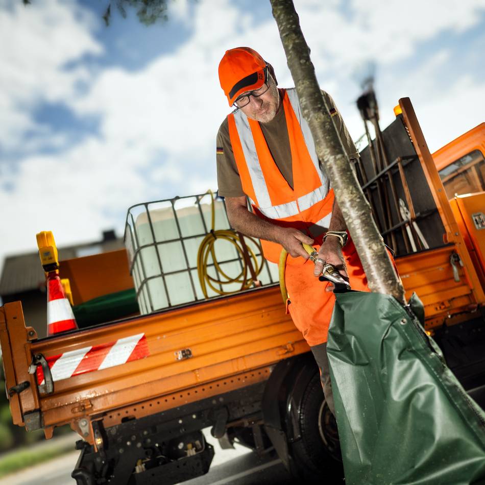 Stadtgrün weiter unter Druck: Junge Bäume haben bei der Bewässerung Priorität