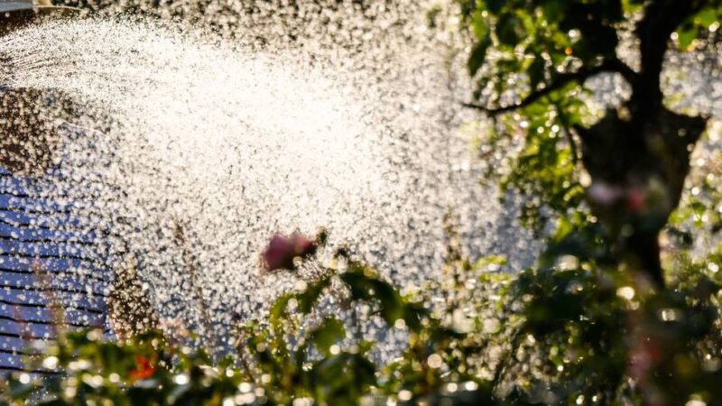 Klimawandel: FDP Willich fordert Wasserstrategie