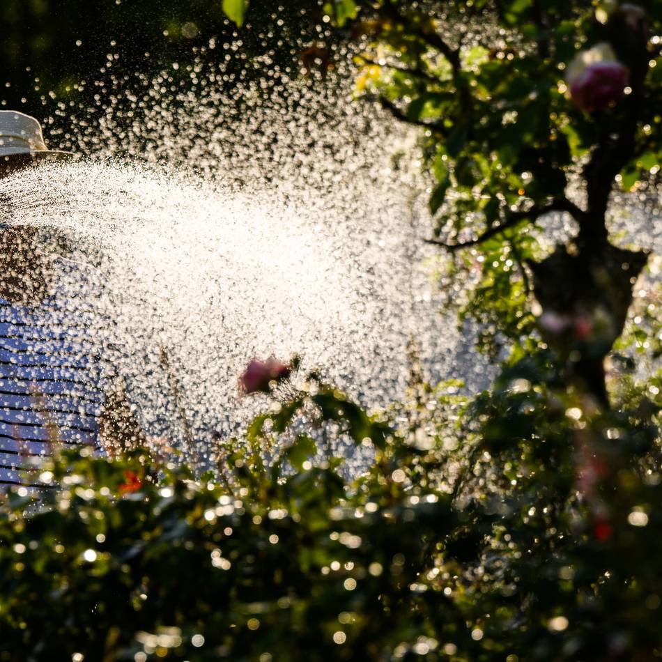 Klimawandel: FDP Willich fordert Wasserstrategie