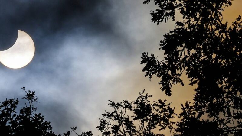 Himmelsspektakel im August: Hier lässt sich die Sonnenfinsternis in Düsseldorf gut beobachten