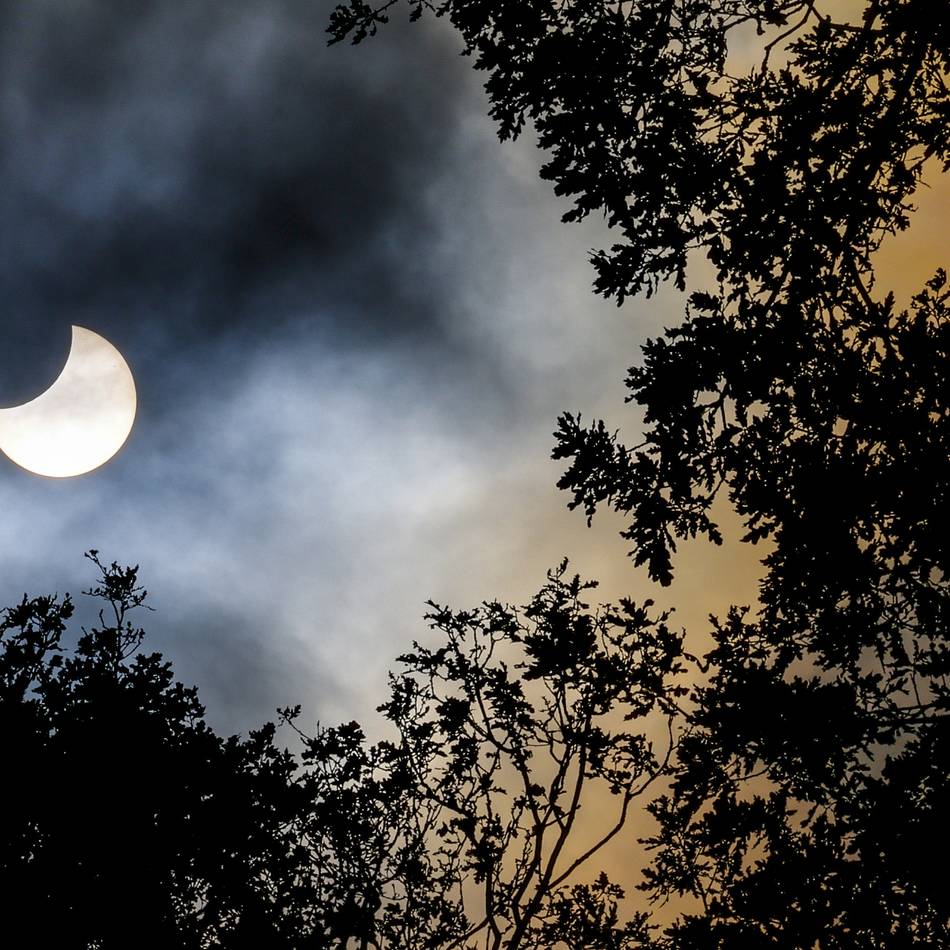 Himmelsspektakel im August: Hier lässt sich die Sonnenfinsternis in Düsseldorf gut beobachten