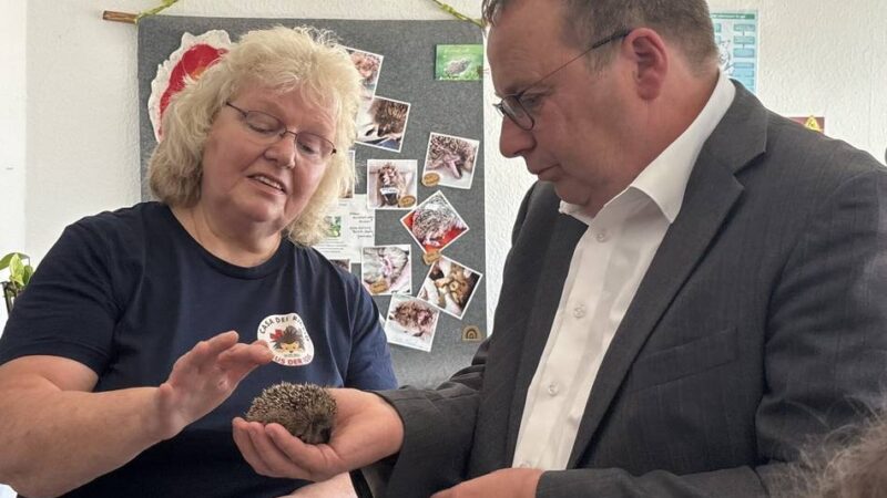 Auffangstation in Krefeld: „Ich freue mich über jeden Igel, der die erste Nacht überlebt“