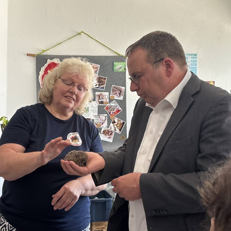 Auffangstation in Krefeld: „Ich freue mich über jeden Igel, der die erste Nacht überlebt“