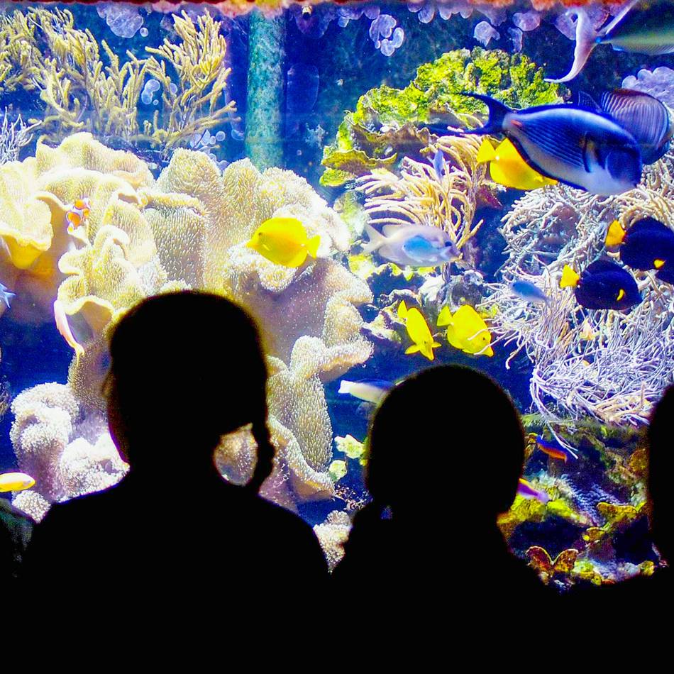 Vom 24. bis 27. August: Event-Highlights in Düsseldorf – das bietet die Woche