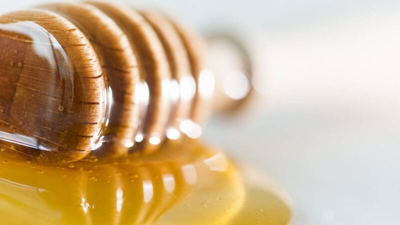 Veterinäramt des Oberbergischen Kreises: Amerikanische Faulbrut in einem weiteren Bienenstand