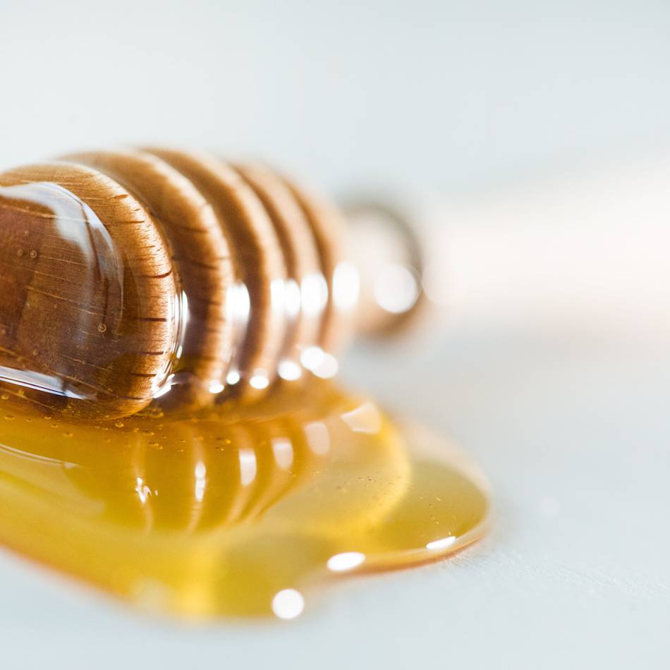 Veterinäramt des Oberbergischen Kreises: Amerikanische Faulbrut in einem weiteren Bienenstand