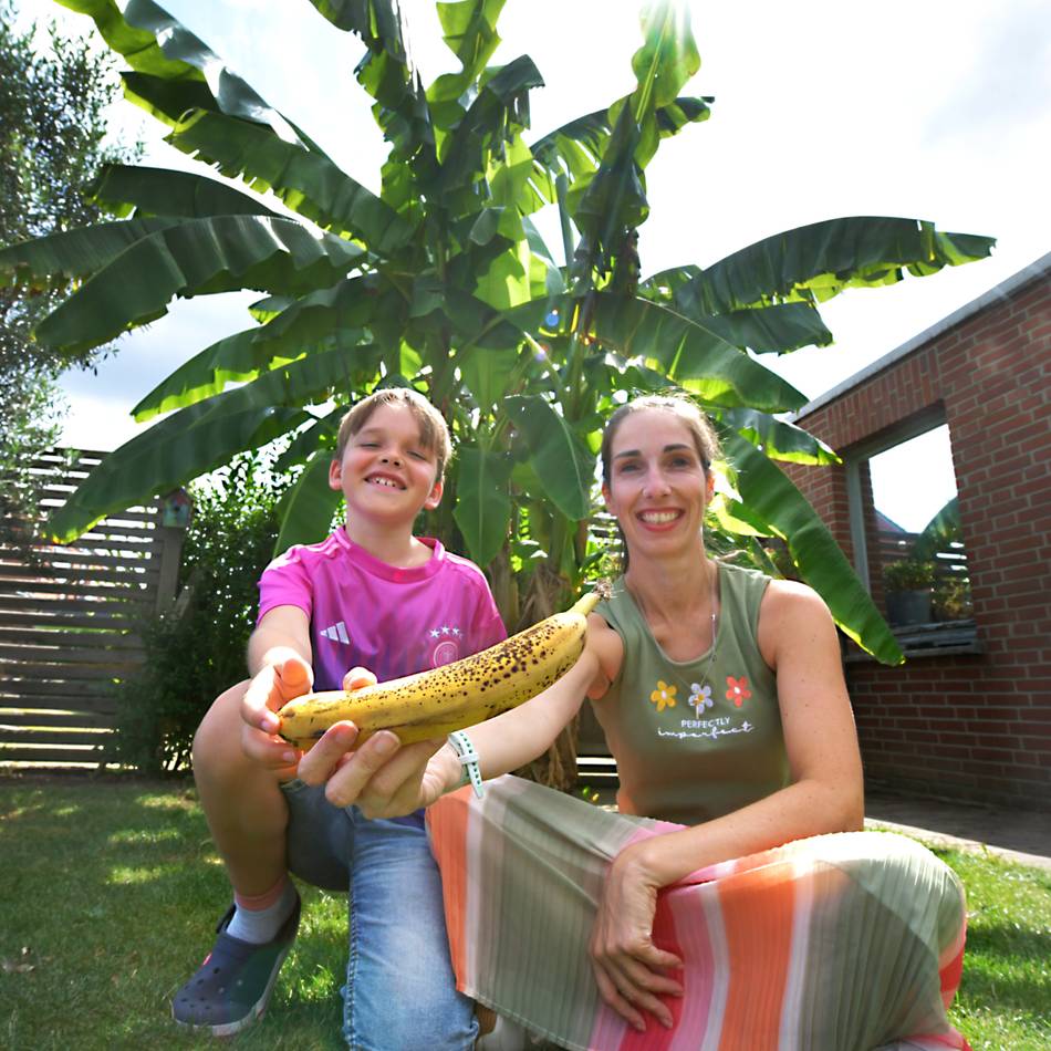 Tropen-Überraschung im Kreis Kleve: Warum bei Jennifer Tissen im Garten plötzlich echte Bananen wachsen