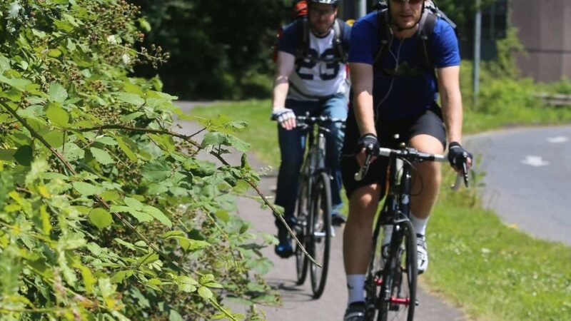 Verkehrssicherheit in Leverkusen: Straßen NRW lehnt Leitplanke an Herbert-Wehner-Straße ab