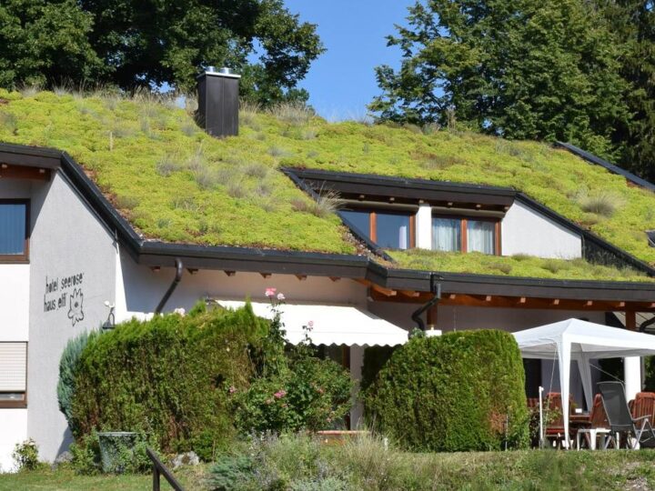 Klimaschutz in Jüchen: Digitale Karte soll kühle Orte in der Stadt zeigen
