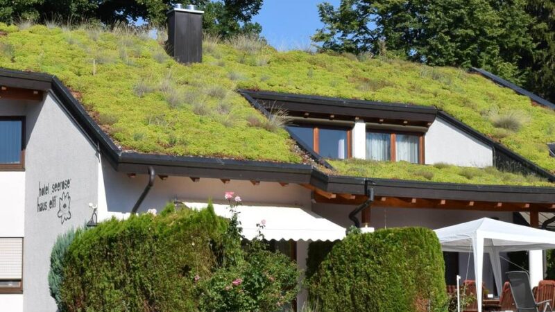 Klimaschutz in Jüchen: Digitale Karte soll kühle Orte in der Stadt zeigen