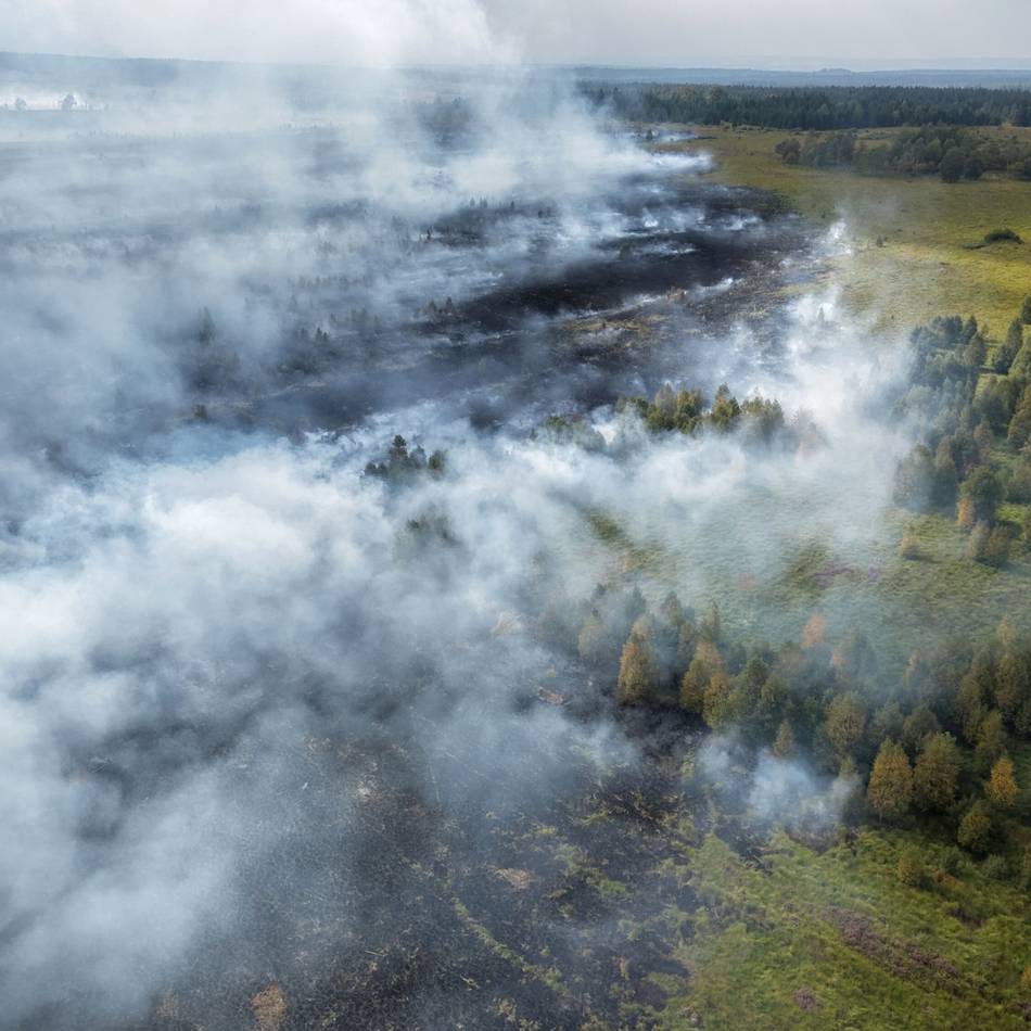 Waldbrand in Belgien: Rauchwolke über dem Kreis Mettmann – App gibt Entwarnung