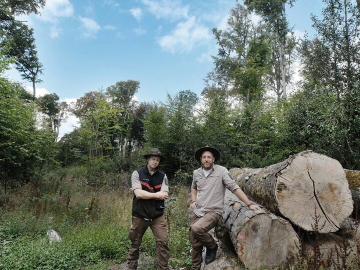 Trockenheit im Kreis Mettmann: „Der nächste Waldbrand ist eine Frage der Zeit“