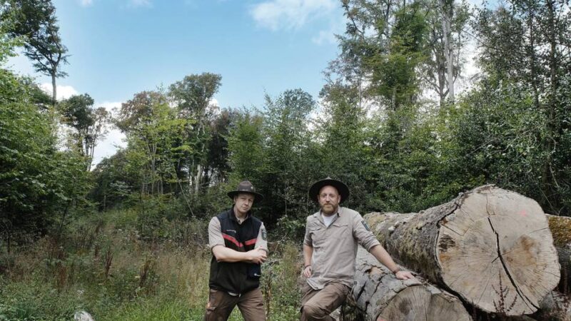 Trockenheit im Kreis Mettmann: „Der nächste Waldbrand ist eine Frage der Zeit“