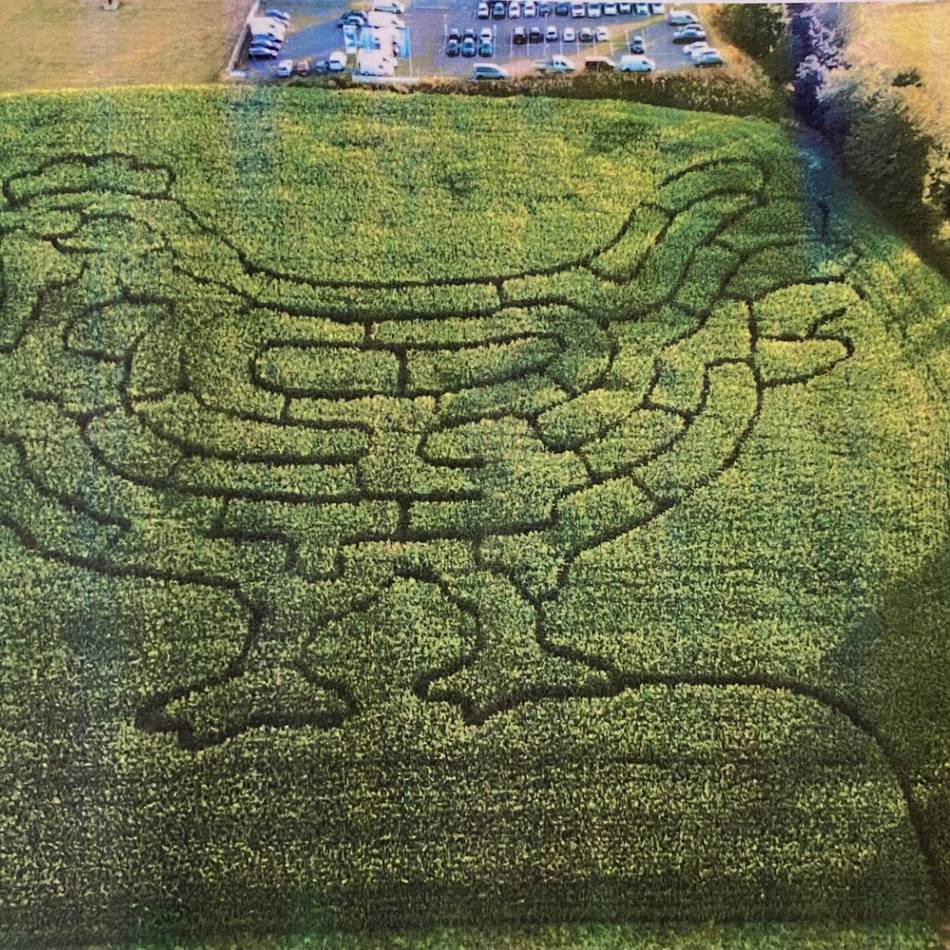 Pflanzen-Irrgarten in Radevormwald: Maislabyrinth an der Ülfe hat wieder geöffnet
