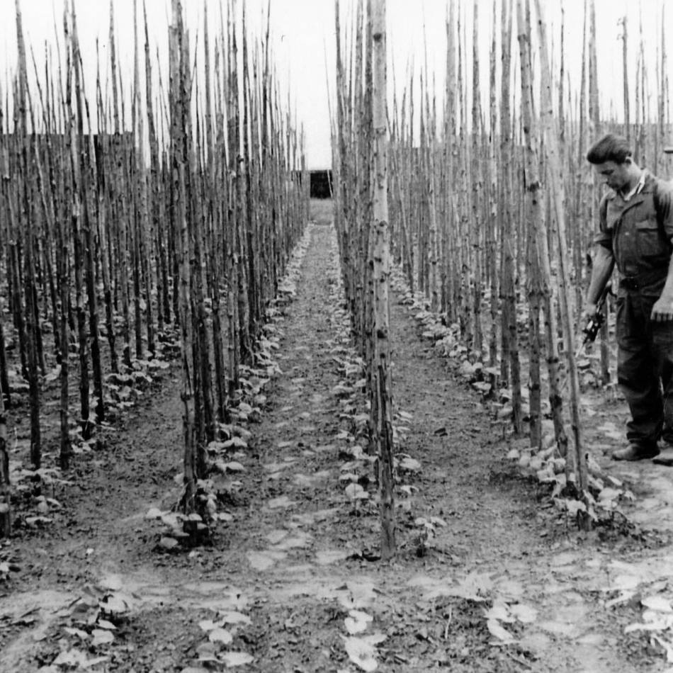Lintorfer Geschichte: Samen aus Lintorf gingen in die ganze Welt