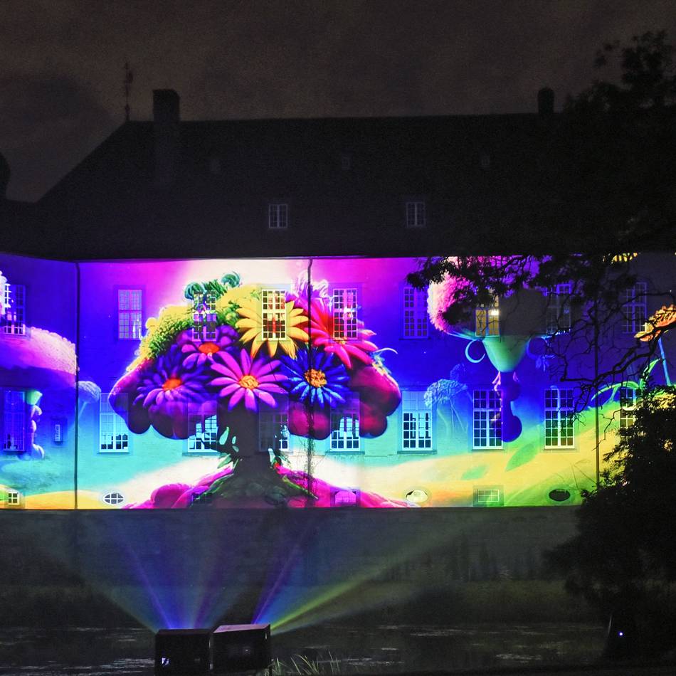 Lichtkunst im Schlosspark: Schloss Dyck lockt mit leuchtenden Blumen und Illusionen