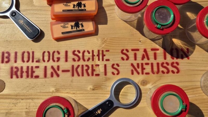 Mit Familienkarte kostenlos: Naturtour am Kloster Knechtsteden lädt Kinder zum Forschen ein
