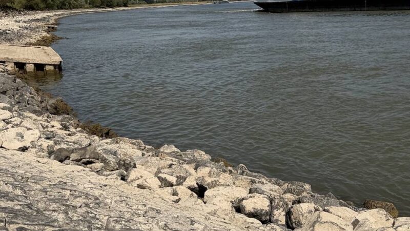 Niedrigwasser am Niederrhein: Rheinpegel erreicht historischen Tiefststand