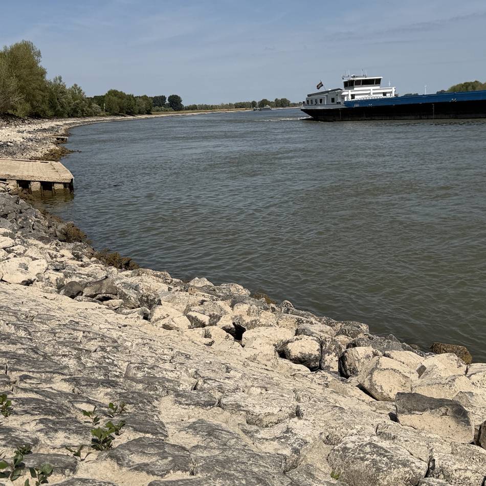 Niedrigwasser am Niederrhein: Rheinpegel erreicht historischen Tiefststand