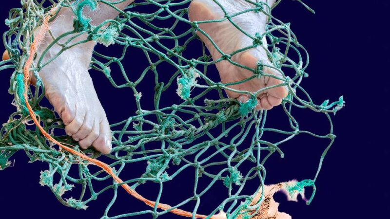 Ausstellung in Düsseldorf: Mikroplastik, Müll und Kunst – neue Ausstellung im Naturkundemuseum