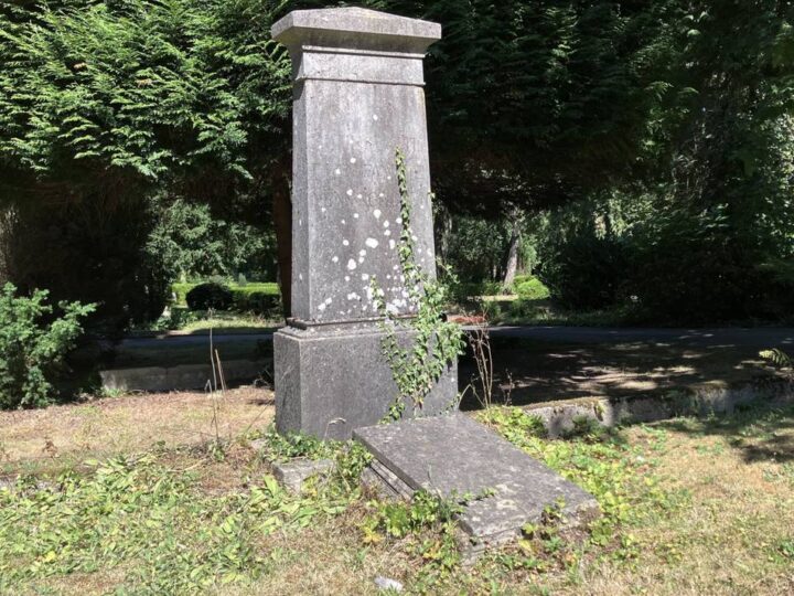 Einrichtung in Mettmann: Das macht die Maria-Nenninghoven-Stiftung