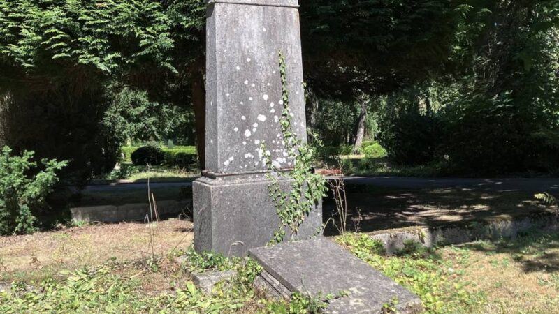 Einrichtung in Mettmann: Das macht die Maria-Nenninghoven-Stiftung