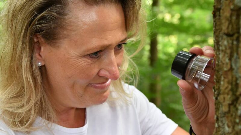 Angebot für Frauen in Radevormwald: Themenwanderung „Frauen in Aktion“ mit Sabine Fuchs