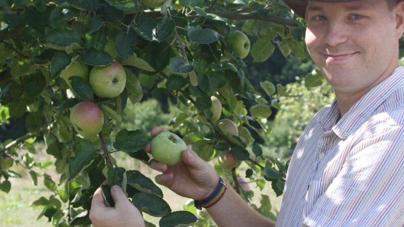 Infos vom Baumschulgärtner in Schaag: Die Heckenschere ist am Obstbaum ein Tabu