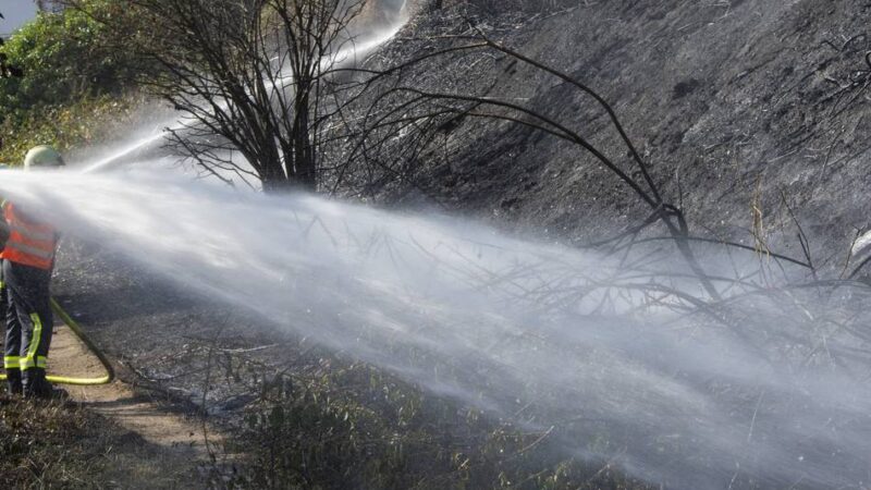 Mönchengladbacher Feuerwehr-Chef klärt auf: Die Brände auf Grünflächen häufen sich – woran liegt das?
