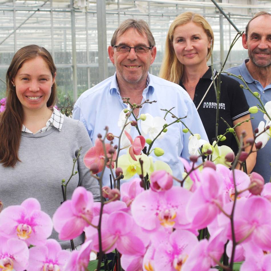 „Blumig“ in Arcen: Nettetaler Orchideen werden zu Kunstwerken in den Niederlanden