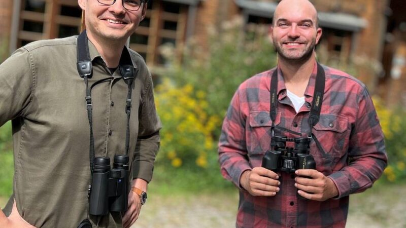 Pflegemaßnahmen am De Wittsee: Warum das Schilf im Rohrdommelprojekt geschützt werden muss