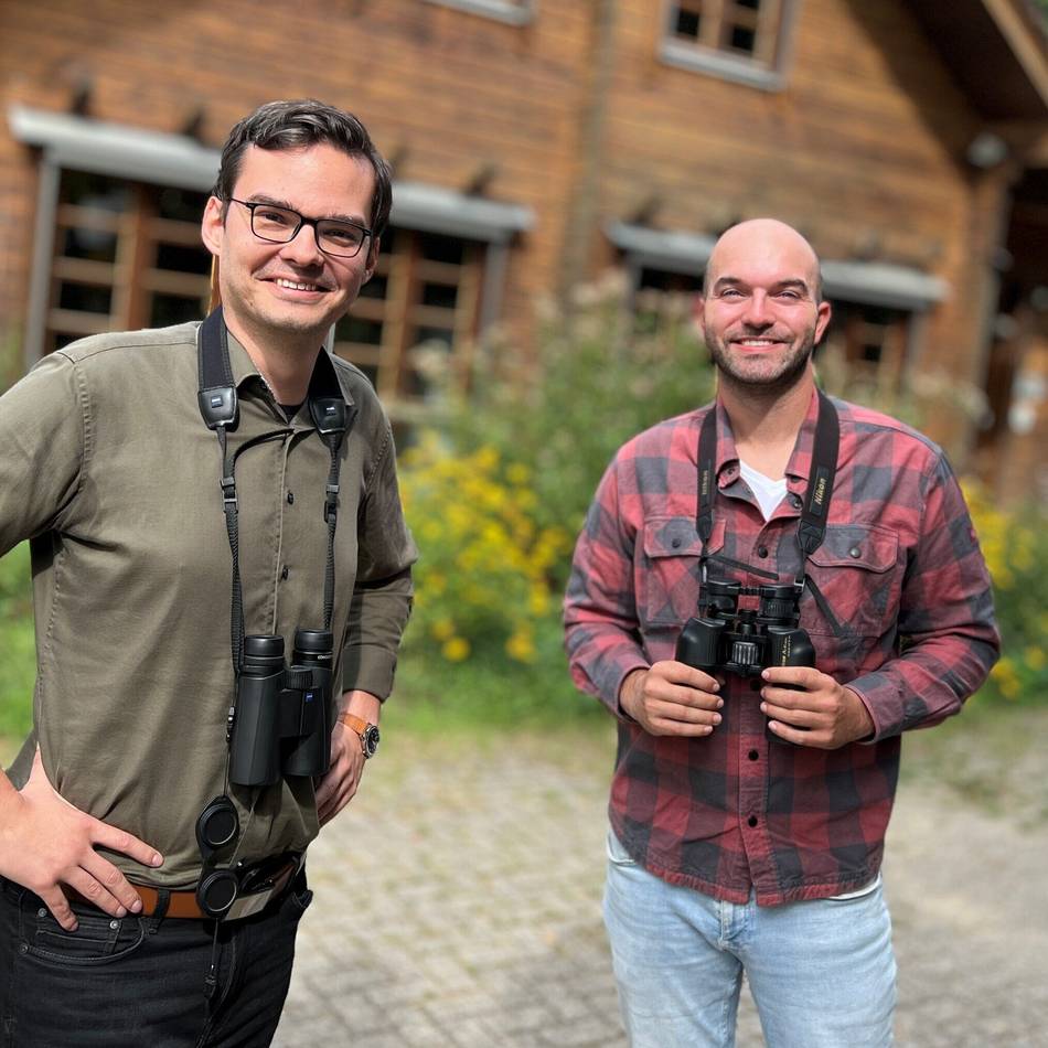Pflegemaßnahmen am De Wittsee: Warum das Schilf im Rohrdommelprojekt geschützt werden muss