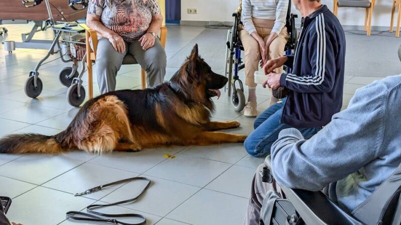 Serie „Mein Hobby“: Altenheim-Besuch auf vier Pfoten