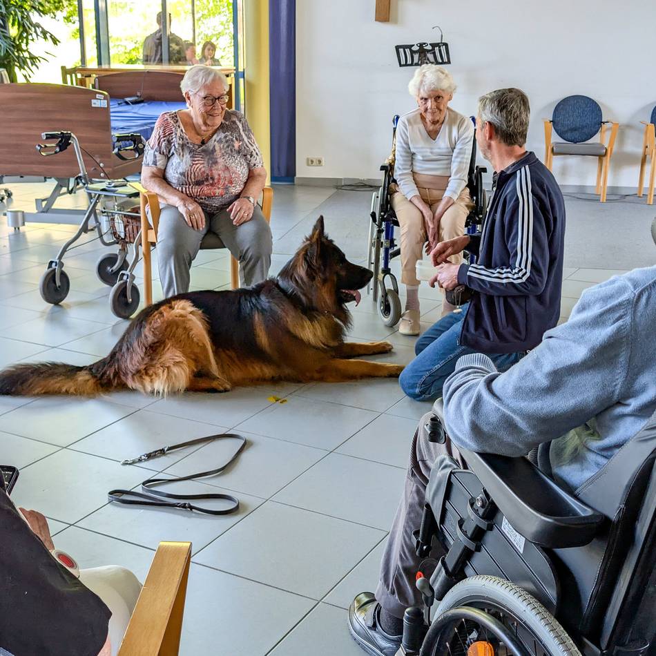 Serie „Mein Hobby“: Altenheim-Besuch auf vier Pfoten