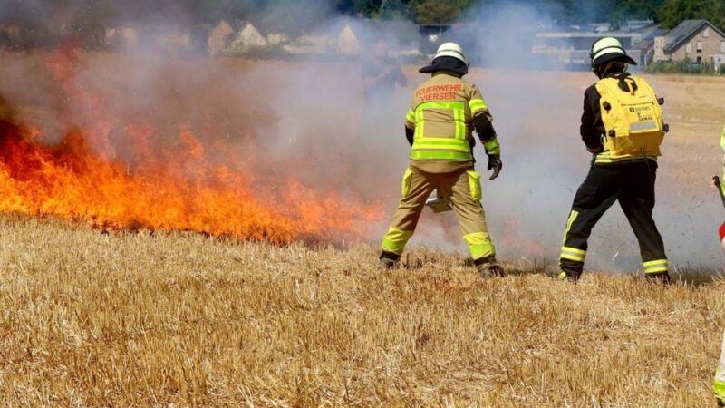 Übung auf einem Feld in Elmpt: So kämpft die Feuerwehr gegen Vegetationsbrände