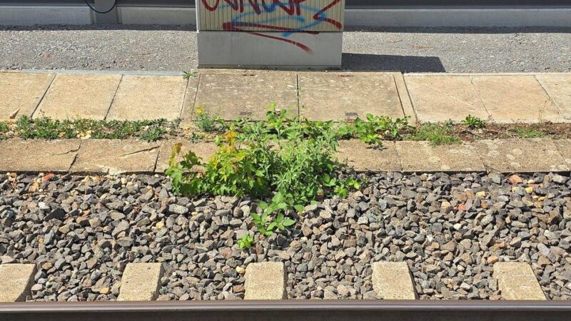 Sabotage-Verdacht in Leverkusen: Staatsschutz ermittelt nach Kabelanschlag