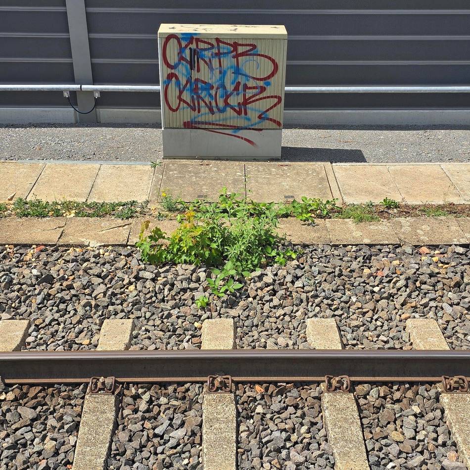 Sabotage-Verdacht in Leverkusen: Staatsschutz ermittelt nach Kabelanschlag
