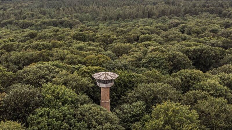 Feuerwachturm im Reichswald: Wie die Waldjugend jahrzehntelang den Reichswald vor Feuern bewahrte