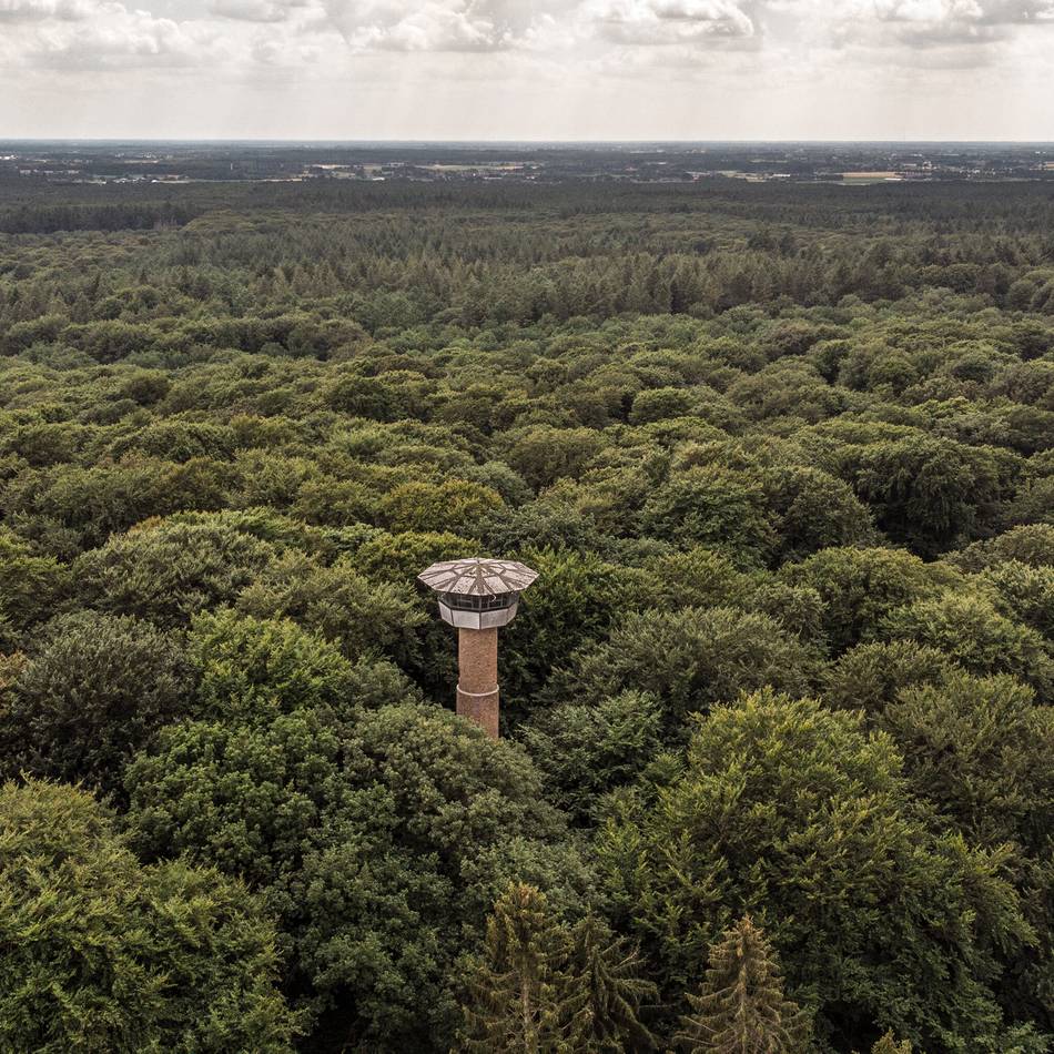 Feuerwachturm im Reichswald: Wie die Waldjugend jahrzehntelang den Reichswald vor Feuern bewahrte
