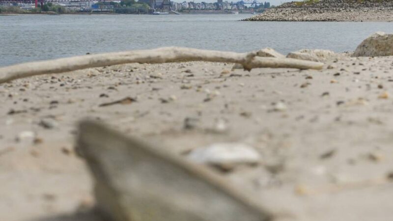 Hitzesommer im Kreis Kleve: Der traurige Dürre-Rekord am Rhein zeigt, wie schutzlos wir vor der Hitze sind