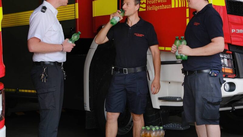 Sommereinsätze der Feuerwehr: Zwischen Hitzestress und Vogelrettung