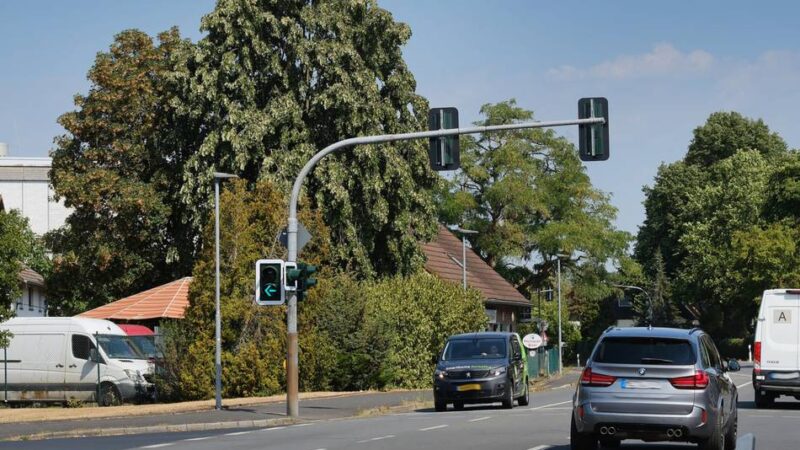 Straßenbauarbeiten in Ratingen: Kölner Straße wird saniert