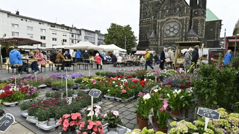 August-Programm: Das wird auf dem Rheydter Wochenmarkt geboten