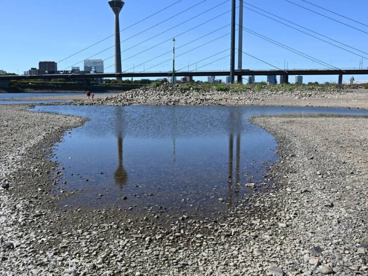 Niedrigwasser mit historischen Tiefständen: Rhein in Düsseldorf – kann der Pegelstand unter null fallen?