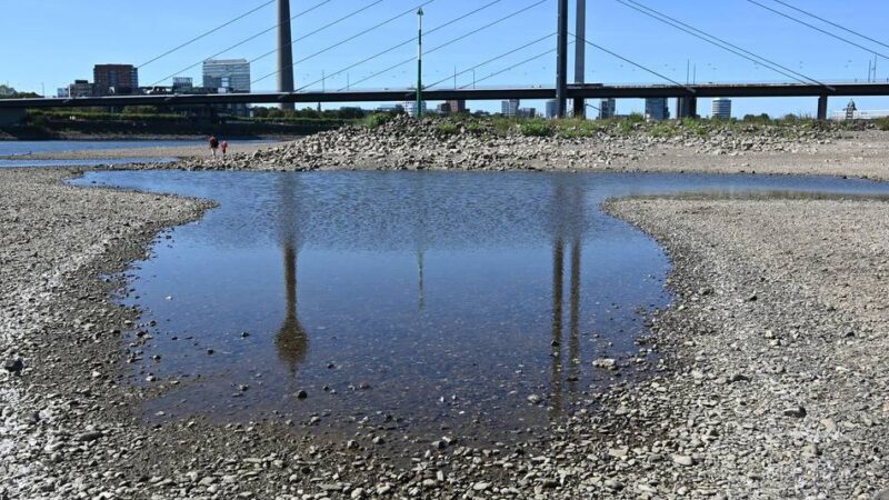 Niedrigwasser mit historischen Tiefständen: Rhein in Düsseldorf – kann der Pegelstand unter null fallen?